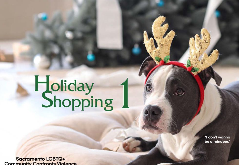 Holiday Shopping One